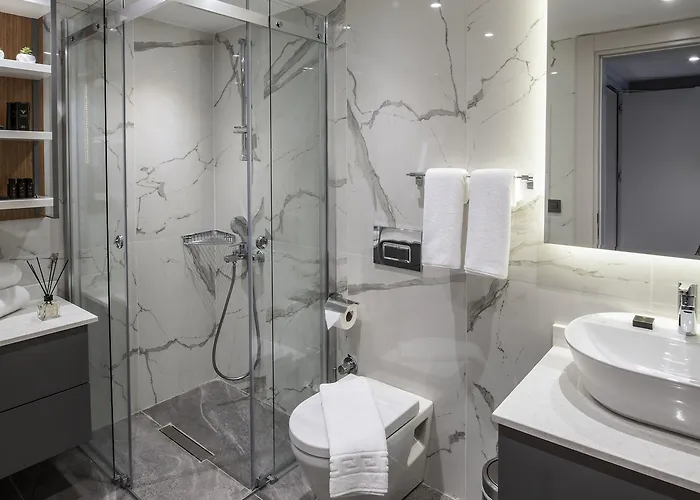 호텔 Valente Suites&hotel 이스탄불